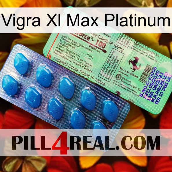 Vigra Xl Max Platinum new02.jpg